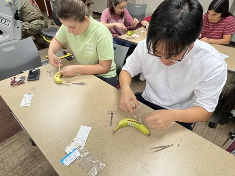 Students practicing suturing on bananas at a shared table.